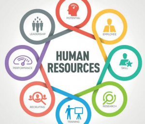 HMIS with Human Resources Module in Nigeria